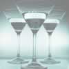 Blush Night Club - Accommodation 4U 3