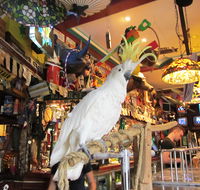 A Friend In Hand - Accommodation 4U