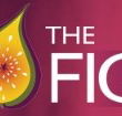 Pickled Fig - Accommodation 4U