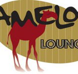 Camelot Lounge - Accommodation 4U