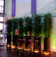 Leichhardt Hotel - Accommodation 4U 3
