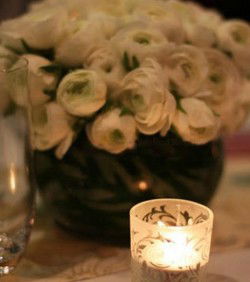 Chanterelle At Jessicas - Accommodation 4U 3