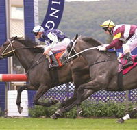 Gosford Race Club - Accommodation 4U