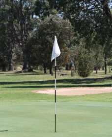 Inverell Golf Club - Accommodation 4U 1