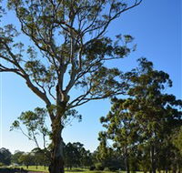 Ryde-Parramatta Golf Club - Accommodation 4U