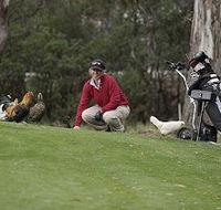 Tasmania Golf Club - The - Accommodation 4U