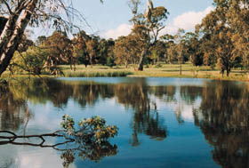 Echunga Golf Club Incorporated - Accommodation 4U 1