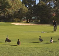 Royal Hobart Golf Club - Accommodation 4U