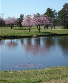 RMC Golf Club - Accommodation 4U 0