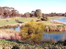Maitland Golf Club Incorporated - Accommodation 4U 1