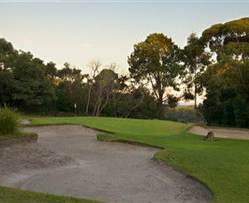 Anglesea Golf Club - Accommodation 4U 4