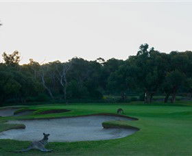 Anglesea Golf Club - Accommodation 4U 8