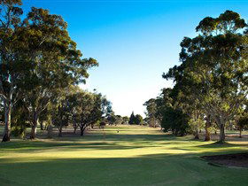 Loxton Golf Club - Accommodation 4U 0