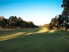 Loxton Golf Club - Accommodation 4U 2