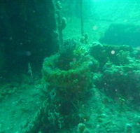Wallaroo Scuba Club - Accommodation 4U
