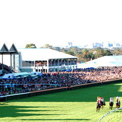 Morphettville SA Accommodation 4U