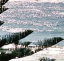 Bondi Social - Accommodation 4U