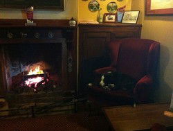 Royal Cricketers Arms - Accommodation 4U 2