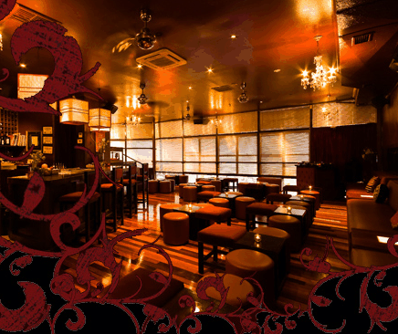 Hippo Lounge Bar - Accommodation 4U
