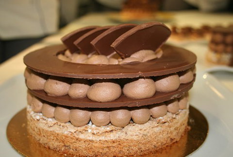 Jaune - Accommodation 4U 1