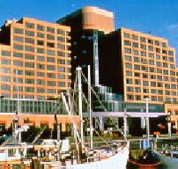 The Atrium Bar - Accommodation 4U