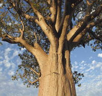 The Kimberley Grande - Accommodation 4U