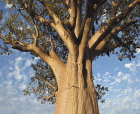 The Kimberley Grande - Accommodation 4U 0