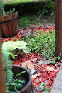 Herveys Range Heritage Tea Rooms - Accommodation 4U 1