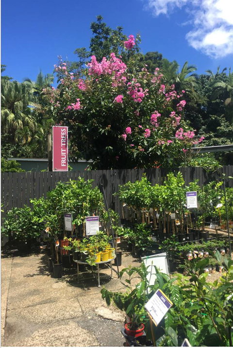 Limberlost Nursery & Garden Centre - Accommodation 4U 3