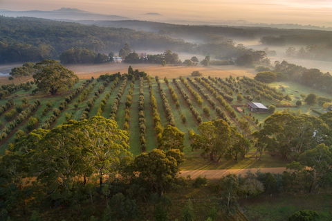 A Taste Of Truffles - Accommodation 4U 1