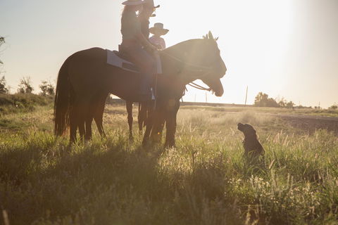 Balonne Cutting Horse Futurity - Accommodation 4U 0