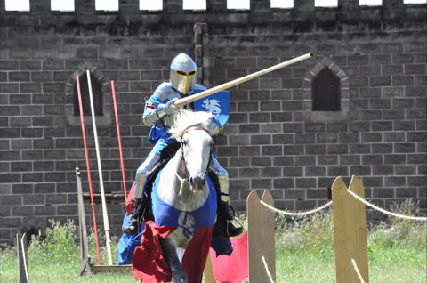 Baroque Horse Festival - Accommodation 4U 1