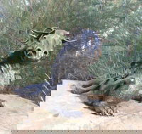 Bathurst Arts Trail - Accommodation 4U