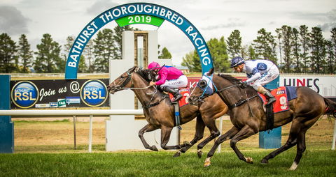 Bathurst Cup - Accommodation 4U 0