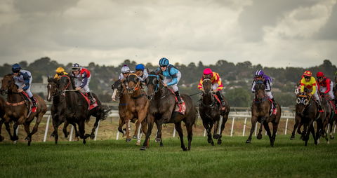 Bathurst Cup - Accommodation 4U 1