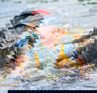 Cave Hill Creek Summer Camp - Accommodation 4U