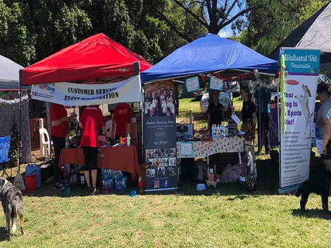 Dogs In The Park Orange - Accommodation 4U 1