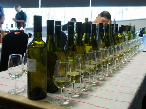 Eltham And District Wine Guild Annual Wine Show - 51st Annual Show - Accommodation 4U 1
