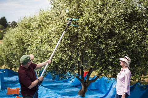 Farmgate Festival - Accommodation 4U 2