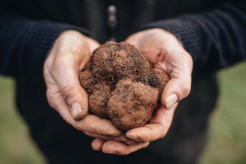 Feast And Forage - Craig's Royal Hotel - Accommodation 4U 0
