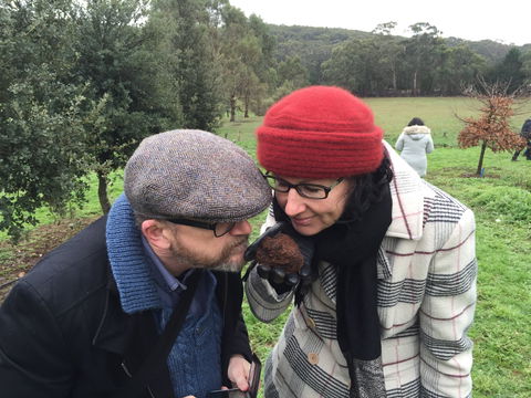Feast And Forage - Craig's Royal Hotel - Accommodation 4U 1