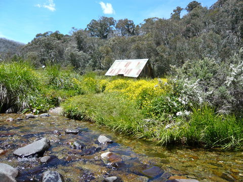 Hedonistic Hiking's Falls Creek To Hotham - Accommodation 4U 0