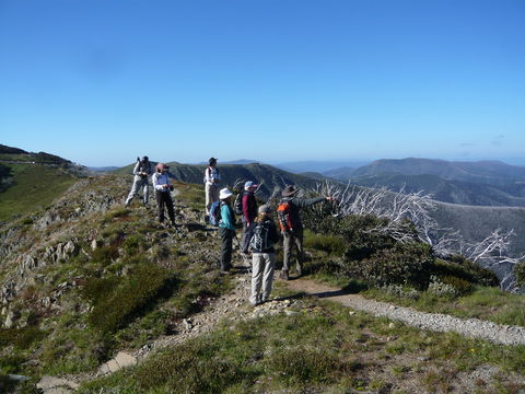 Hedonistic Hiking's Falls Creek To Hotham - Accommodation 4U 1