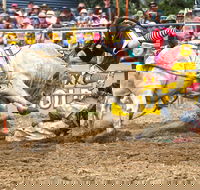 Jindabyne's Man From Snowy River Rodeo - Accommodation 4U