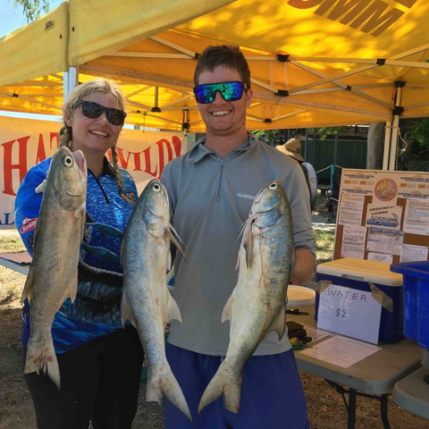 Karumba Anglers Classic - Accommodation 4U 1