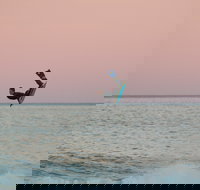 Kiama Bodyboard King Pro - Accommodation 4U