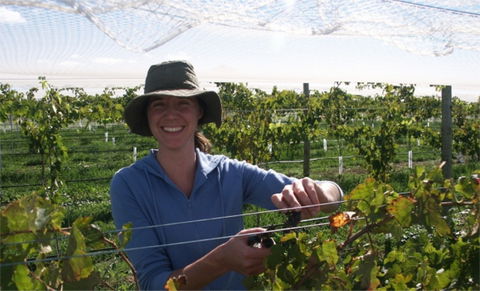 Kingsdale Wines - Cellar Door Wine Tastings - Accommodation 4U 0