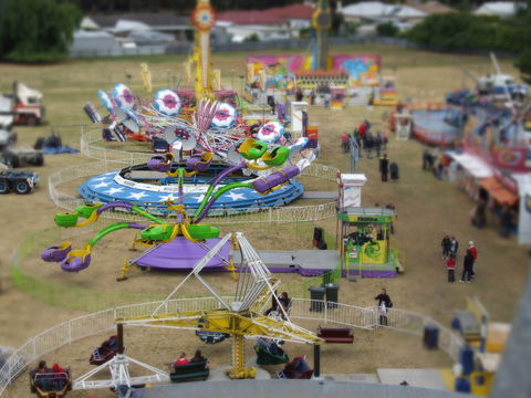 Millicent Agricultural And Horticultural Show - Accommodation 4U 0