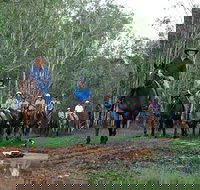 Night Horse Ride and Dinner - Accommodation 4U