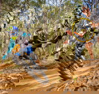 NSW State Downhill Mountain Bike Championships - Accommodation 4U